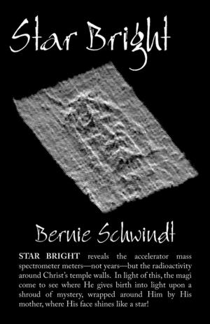 Book cover of Star Bright
