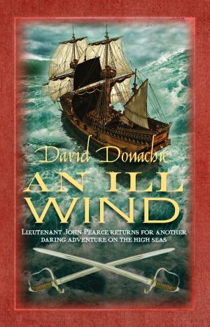 Cover of the book An Ill Wind by Suzette A. Hill