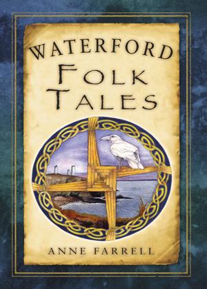 Cover of the book Waterford Folk Tales by David Berguer