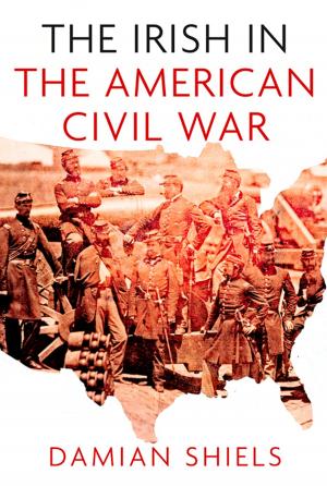 Cover of the book Irish in the American Civil War by John Van der Kiste