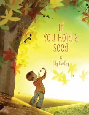 Cover of the book If You Hold a Seed by Karen Adler, Judith Fertig