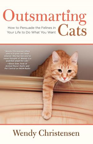 Book cover of Outsmarting Cats