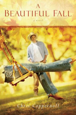 Cover of the book A Beautiful Fall by David Cook