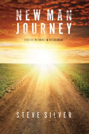 Cover of the book New Man Journey by Linda Barrick