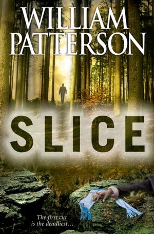 bigCover of the book Slice by 