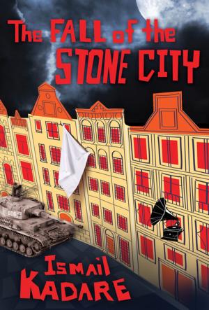 Book cover of The Fall of the Stone City