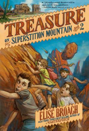 Cover of the book Treasure on Superstition Mountain by Bruce Goldstone