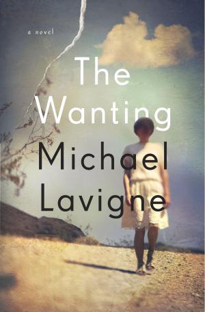 Cover of the book The Wanting by Verlyn Klinkenborg