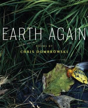 Cover of the book Earth Again by Terry Blackhawk