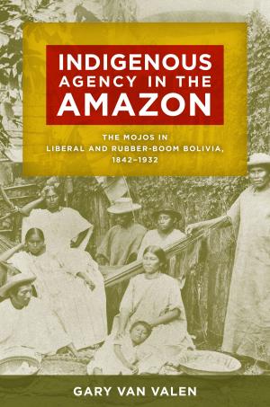 Cover of the book Indigenous Agency in the Amazon by Patricia Preciado Martin