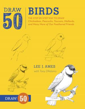 Cover of Draw 50 Birds