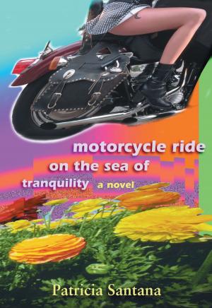 bigCover of the book Motorcycle Ride on the Sea of Tranquility by 