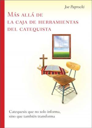 Book cover of Más allá de la caja de herramientas del catequista / Beyond the Catechist's Toolbox