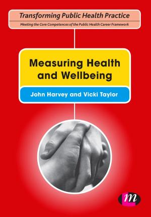 Cover of the book Measuring Health and Wellbeing by Professor Shlomo Maital, D V R Seshadri