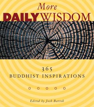 Cover of the book More Daily Wisdom by His Holiness the Dalai Lama