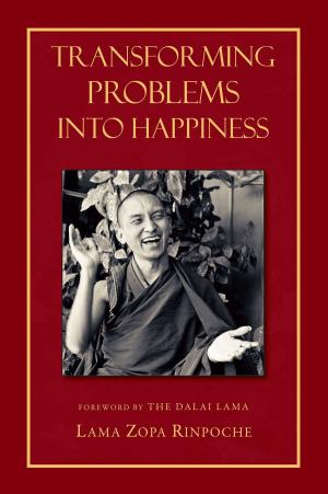 Book cover of Transforming Problems into Happiness