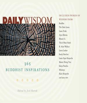 Cover of the book Daily Wisdom by Matthew Flickstein