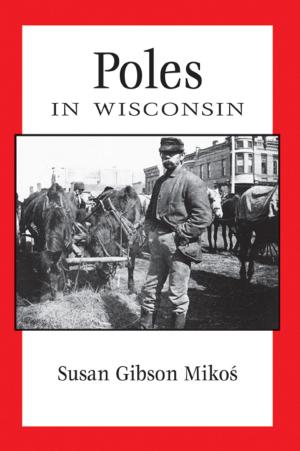 Cover of the book Poles in Wisconsin by John D. Buenker