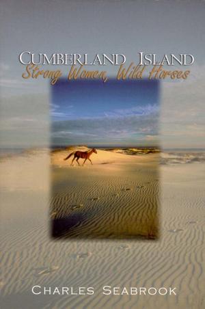 Cover of the book Cumberland Island by Randy Russell