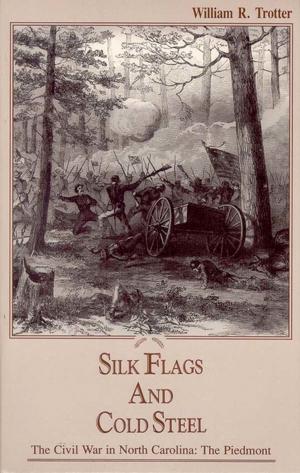 Cover of the book Silk Flags and Cold Steel by Daniel W. Barefoot