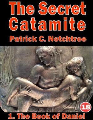 Book cover of The Secret Catamite: 1. The Book of Daniel