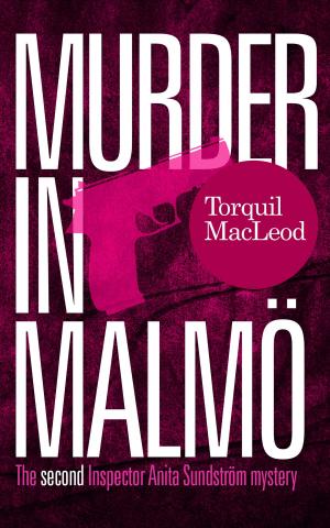 Cover of the book Murder in Malmö by Pat Elliott