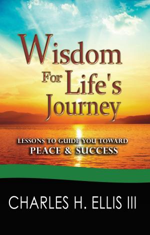 Cover of the book Wisdom for Life's Journey by Chris Segura