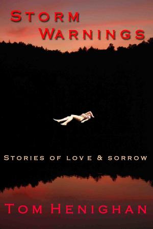 Cover of the book Storm Warnings: Stories of Love and Sorrow by David Duane Kummer