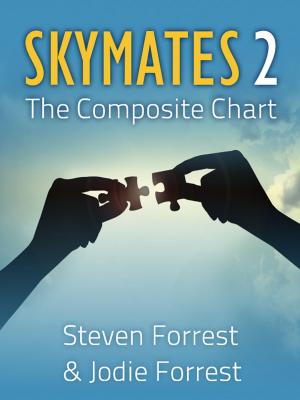 bigCover of the book Skymates 2 by 