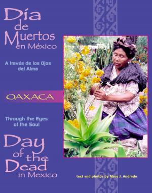 bigCover of the book Through the Eyes of the Soul: Oaxaca by 