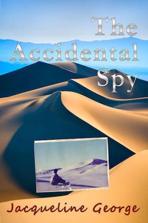 Cover of the book The Accidental Spy by Danny White