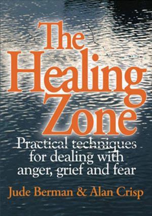 Cover of the book The Healing Zone by Robyn Collins
