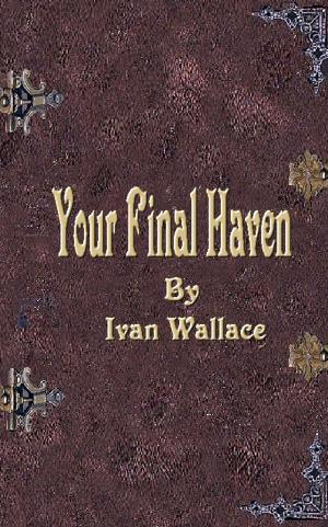 Cover of the book Your Final Haven by Allison Pang