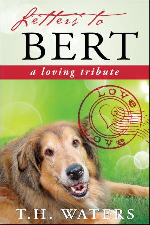 Cover of the book Letters to Bert by Grace Becken