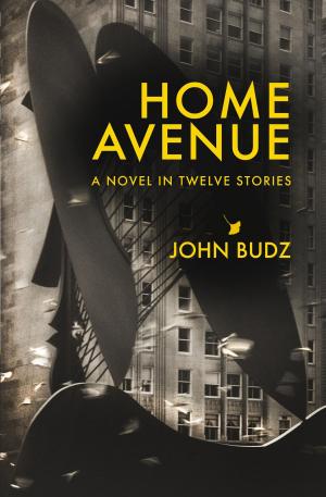 bigCover of the book Home Avenue by 