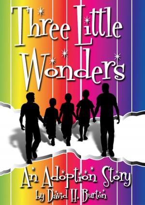 Cover of Three Little Wonders: An Adoption Story