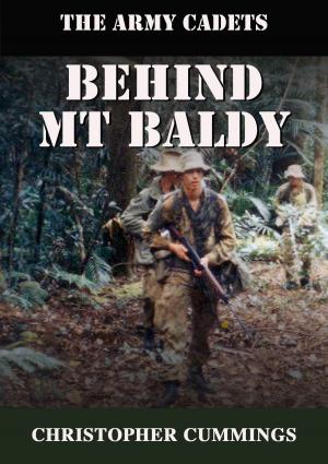 Book cover of Behind Mt. Baldy