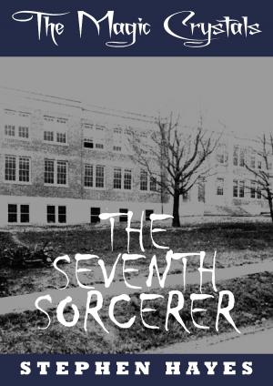 Cover of the book The Seventh Sorcerer by Daniel Sherrier