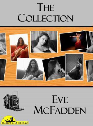 Cover of the book The Collection by Lez Lee
