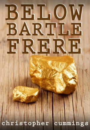 Book cover of Below Bartle Frere