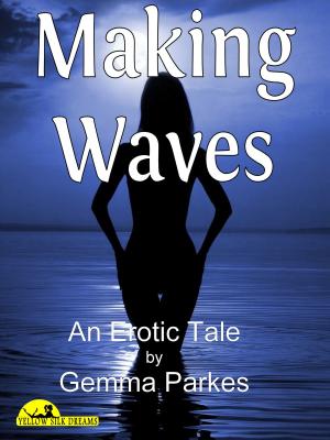 Cover of the book Making Waves by Laetitia Romano