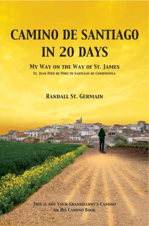 Cover of Camino de Santiago In 20 Days
