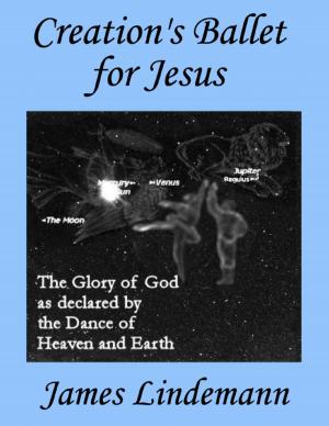 Cover of the book Creation's Ballet for Jesus by Alan Sharp