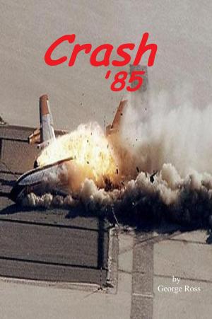 Cover of the book Crash '85 by Timothy Patrick