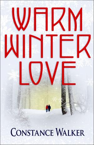 Cover of the book Warm Winter Love by Casey Chaplin