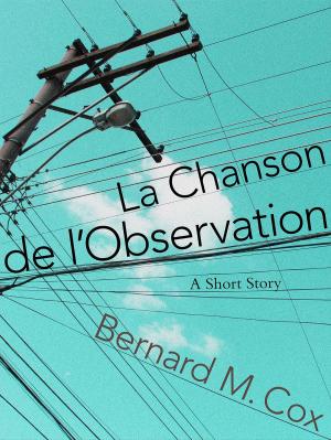 Book cover of La Chanson de l'Observation