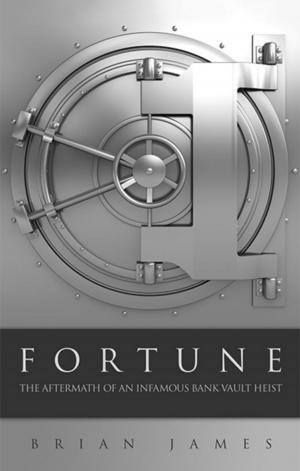 Book cover of Fortune: The Aftermath of an Infamous Bank Vault Heist