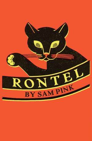 Cover of the book Rontel by Gerard M. DiLeo