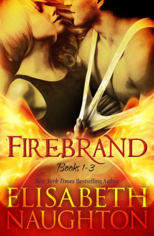Cover of the book Firebrand Series Box Set by Michael Atkins