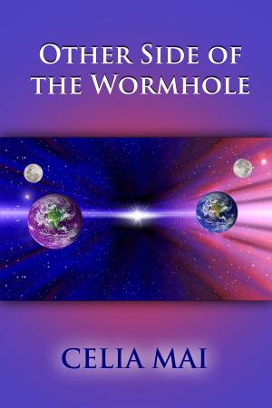 Cover of the book Other Side of the Wormhole by Ruby Blessing